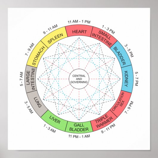 Horary Cycle Acupuncture Art Poster (Vorne)