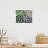 Horatio the Eichhörnchen Print Poster (Küche)
