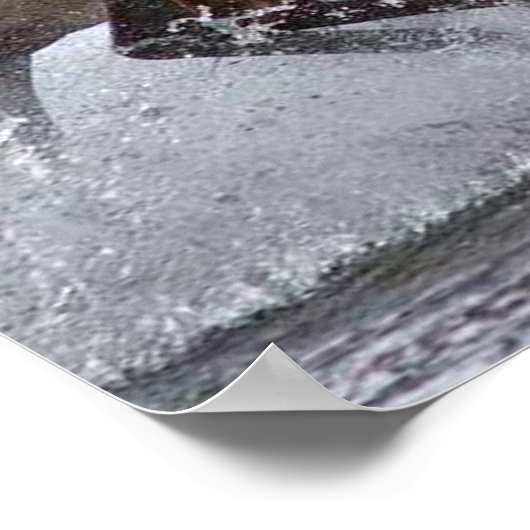 Horde Pferde, Papier Poster (Ecke)