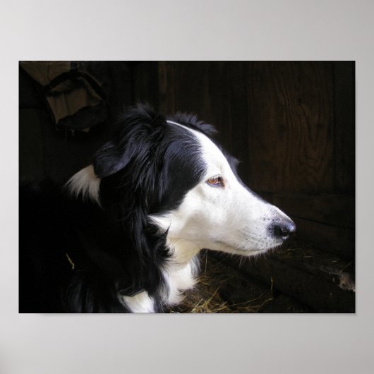 "Hören" Poster (Vorne)