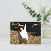 Hören Sie auf das Huhn Postkarte (Stehend Vorderseite)