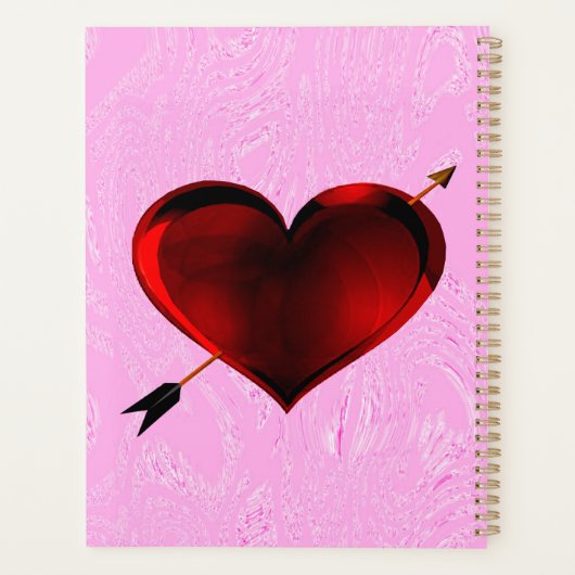 Hören Sie auf Pink Ice Spiral Notebook Planer (Rückseite)