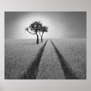 Hören Sie der Weisheit zu Poster