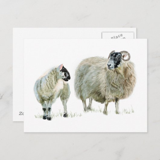 Hören Sie immer auf Ihren Maaa! Postkarte (Vorne/Hinten)