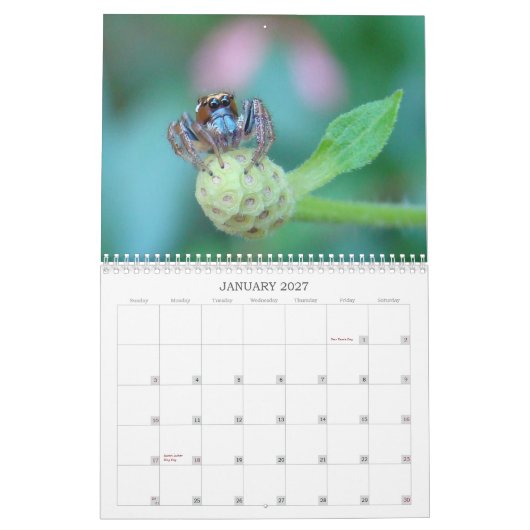 Hören Sie mich ab! Kalender (Jan 2027)