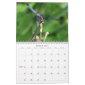 Hören Sie mich ab! Kalender (Mär 2027)