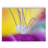 Hören Sie mich ab! Kalender (Titelbild)