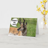 HÖREN SIE VON DER HERDE, DASS SIE **50** WOW SIND KARTE (Gelbe Blume)