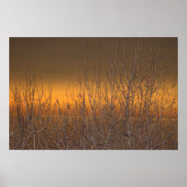 Horizont über das Lake Erie Poster