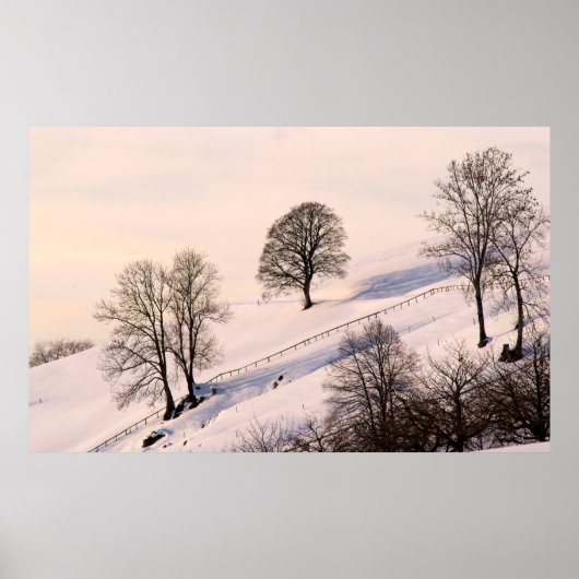 HORIZONTAL POSTER (Vorne)