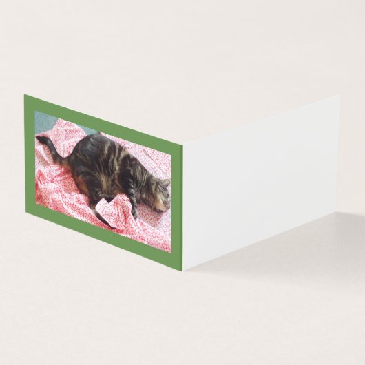 Horizontale Buchtabellenkarte für Schneiderdampf (Vorderseite)