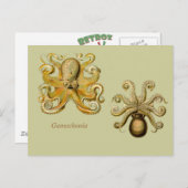 Horizontale Gamochonia-Postkarte Postkarte (Vorne/Hinten)