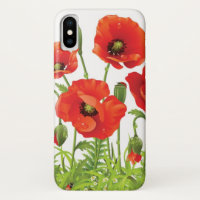 Horizontale Grenze mit roter Mohnblume