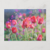 Horizontale Postkarte (Vorderseite)