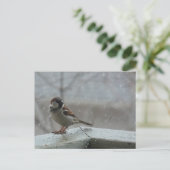 Horizontale Postkarte für Sparrow (Stehend Vorderseite)