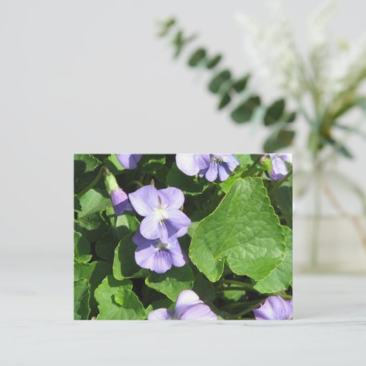 Horizontale Postkarte - Maßgeschneiderte (Stehend Vorderseite)