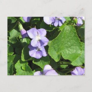 Horizontale Postkarte - Maßgeschneiderte