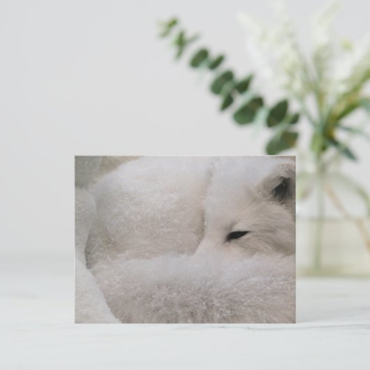 Horizontale Postkarte - Maßgeschneiderte (Stehend Vorderseite)