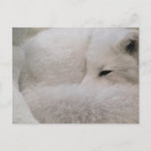 Horizontale Postkarte - Maßgeschneiderte (Vorderseite)