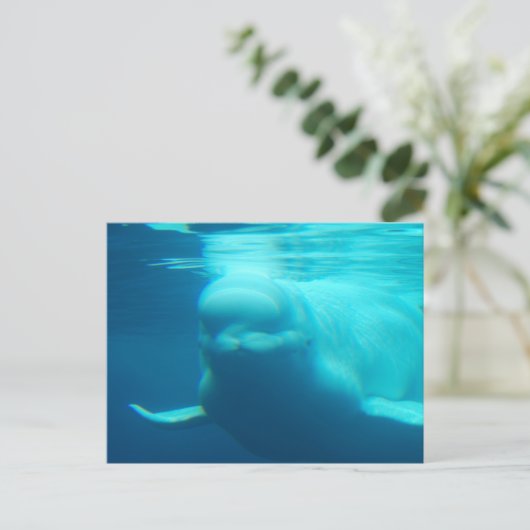 Horizontale Postkarte - Maßgeschneiderte (Stehend Vorderseite)