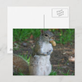 Horizontale Postkarte - Maßgeschneiderte (Vorne/Hinten)