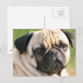 Horizontale Postkarte - Maßgeschneiderte (Vorne/Hinten)