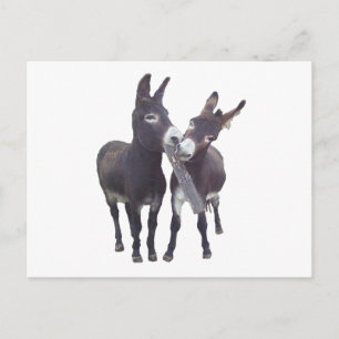 Horizontale Postkarte "Missy's Donkeys"