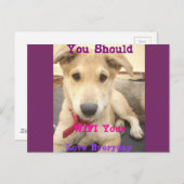 Horizontale Postkartenvorlage Postkarte (Vorne/Hinten)