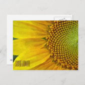 Horizontale Sonnenblume Postkarte (Vorne/Hinten)