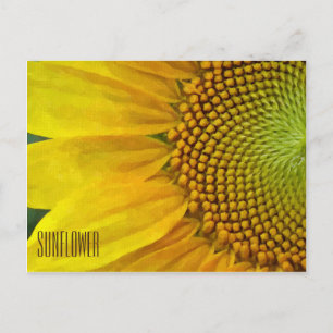 Horizontale Sonnenblume Postkarte
