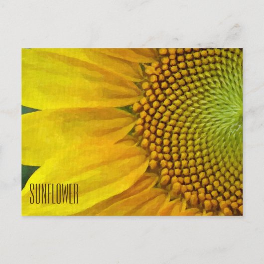 Horizontale Sonnenblume Postkarte (Vorderseite)