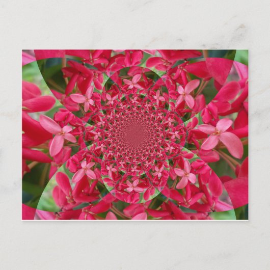 Horizontale Vorlage für Rote Kriminelle Postkarte (Vorderseite)