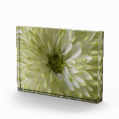 Horizontaler Block Photoblock (Rechts)