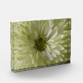 Horizontaler Block Photoblock (Links)