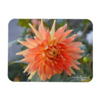 Horizontaler Magnet mit lockerer orangefarbener Da