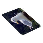 Horizontales, flexibles Foto-Magnet Magnet (Rechte Seite)