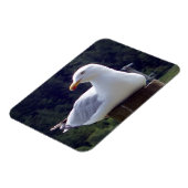 Horizontales, flexibles Foto-Magnet Magnet (Linke Seite)