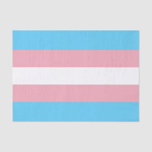 Horizontales Transgender-Pricing-Flag Seidenpapier (Vorderseite)