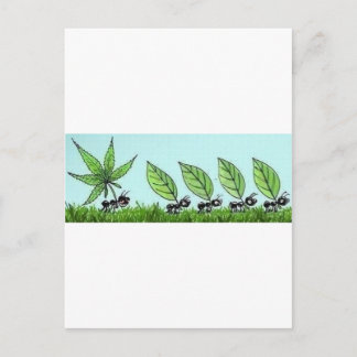 Hormiga colocada postkarte