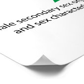 Hormonale Kontrolle der Pubertät von Jungen und Mä Poster (Ecke)