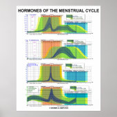 Hormone des Menstruationszyklus Poster (Vorne)
