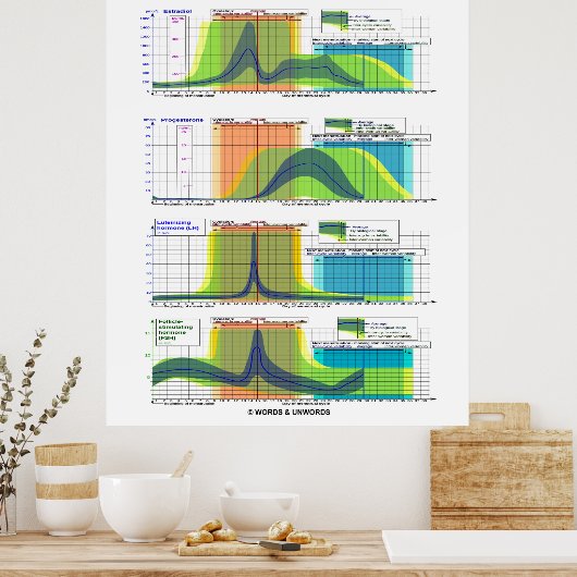 Hormone des Menstruationszyklus Poster (Küche)