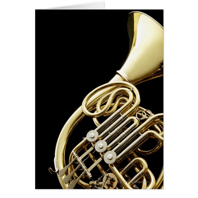 Horn (Vorne)