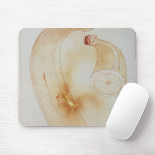 Horn-Banane Mousepad (Mit Mouse)