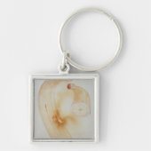 Horn-Banane Schlüsselanhänger (Vorne)