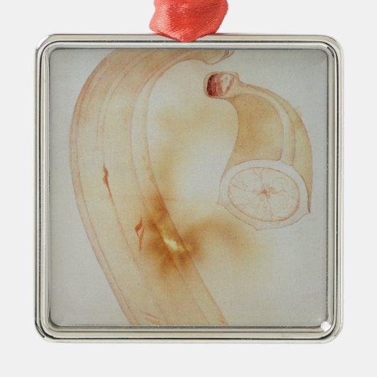 Horn-Banane Silbernes Ornament (Vorne)