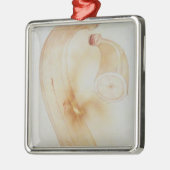 Horn-Banane Silbernes Ornament (Links)