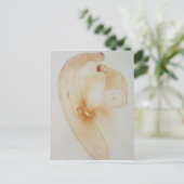 Horn Plantain Postkarte (Stehend Vorderseite)