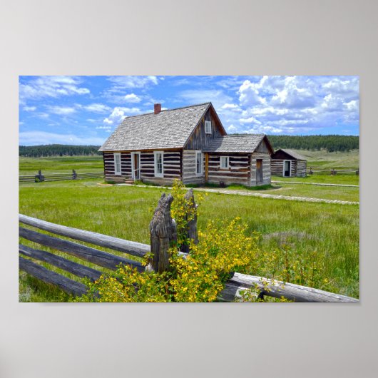 Hornbek Homestead, Florissant, Colorado Poster (Vorne)