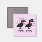 Hornbialstatistik Magnet (Vorderseite/Rückseite)